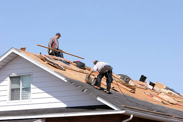 Best Roof Ventilation Installation  in Sully Square, VA